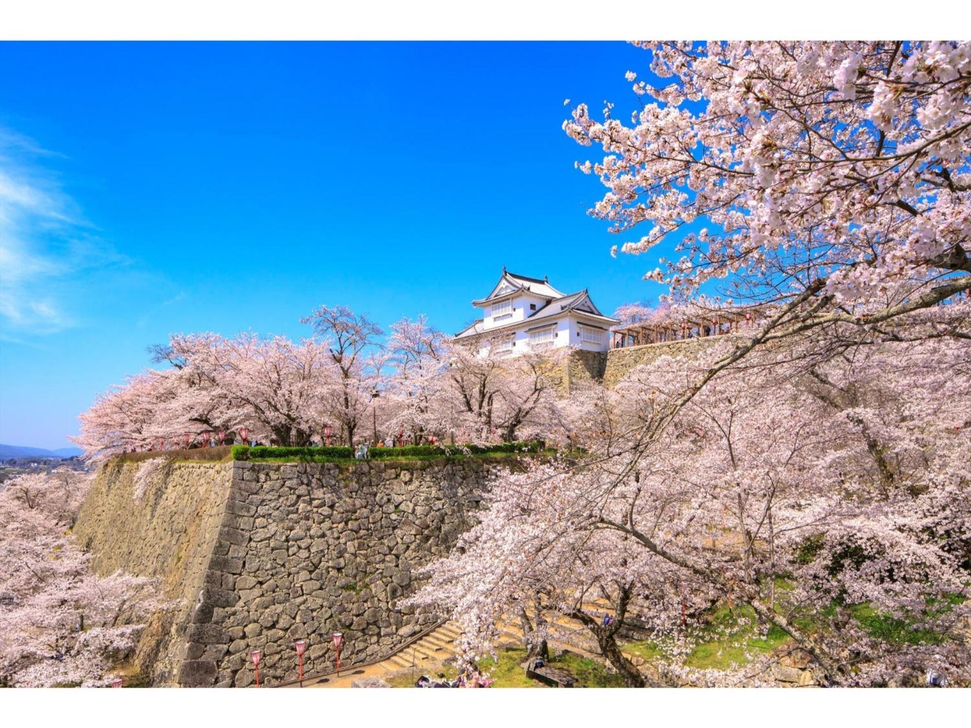 Tsuyama Kakuzan Hotel - Vacation Stay 75701V Luaran gambar